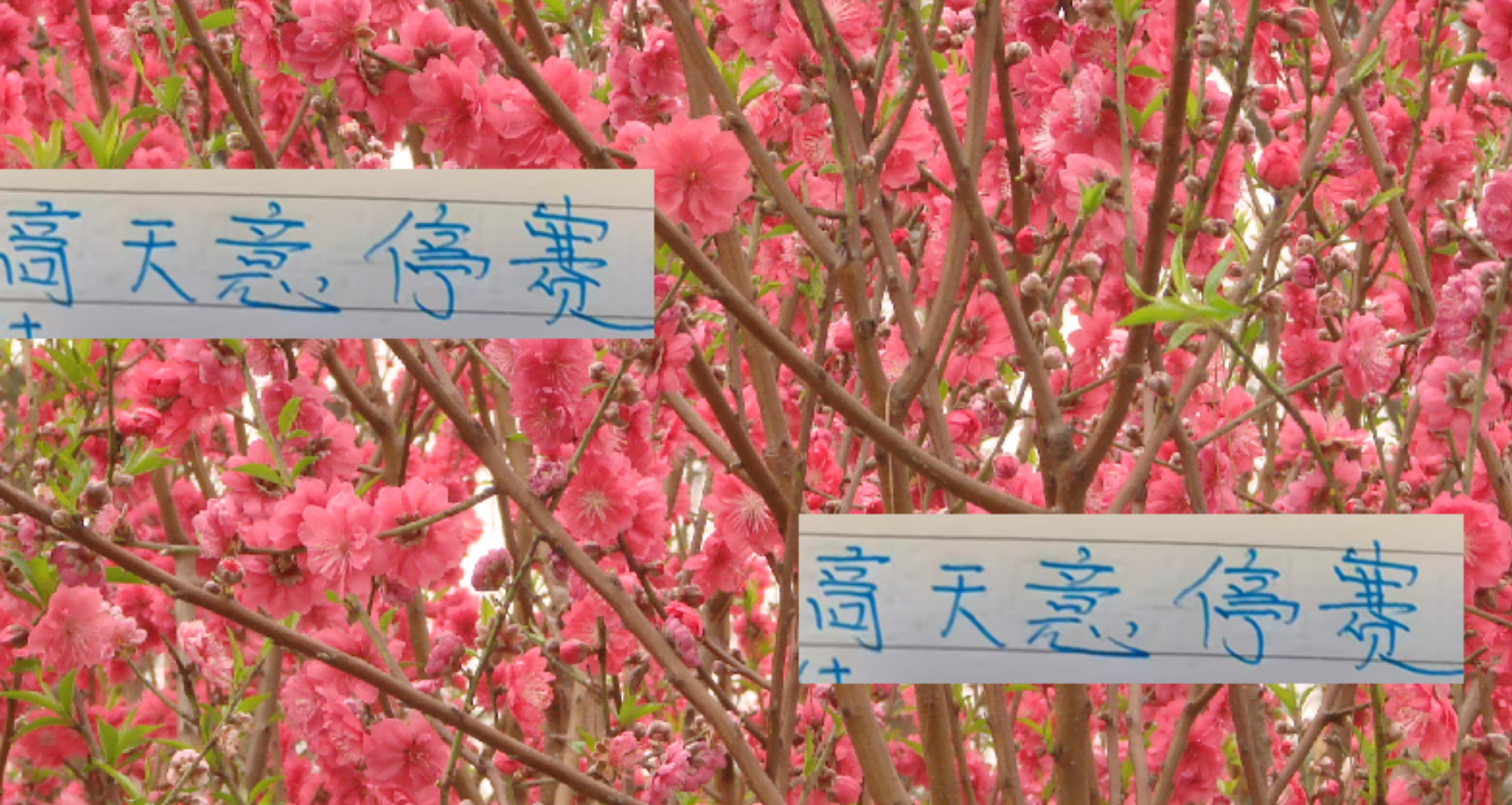 华体会官网入口-申花好消息！高天意依然是助攻榜一大哥 坏消息打山东他停赛