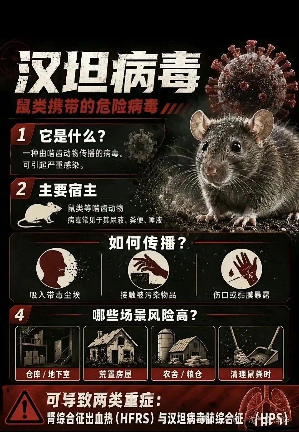hth体育-台北出现汉坦病毒致死病例！网友扒出竟早有预言，专家否认人传人