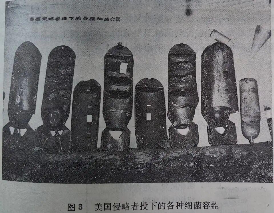hth体育-台北出现汉坦病毒致死病例！网友扒出竟早有预言，专家否认人传人
